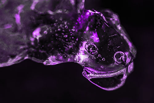 Joyful Frozen Bubble Eyed River Ice Face Creature (Purple Tone Photo)