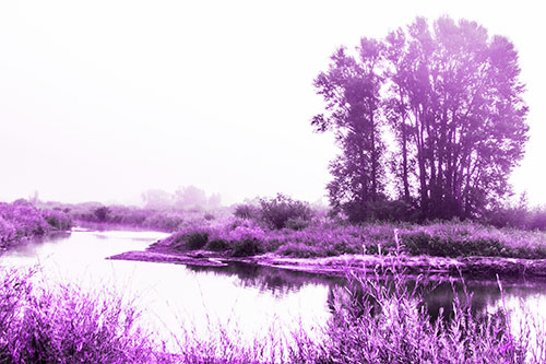 Large Foggy Trees At Edge Of River Bend (Purple Tone Photo)