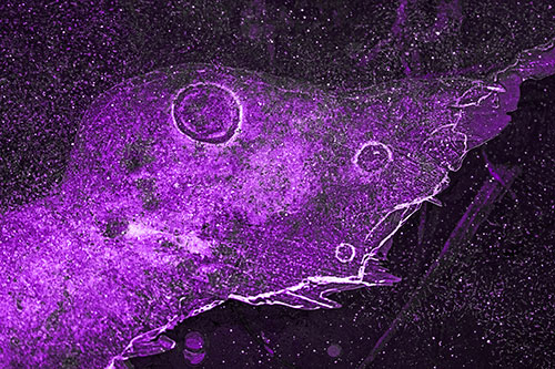 Large Headed Bubble Eyed Ice Face Frozen Among River (Purple Tone)
