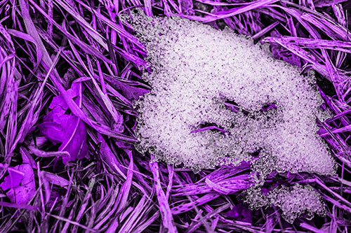 Miserable Slanted Grass Eyed Snow Face (Purple Tone)