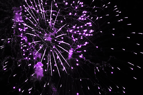 Multiple Firework Explosions Send Light Orbs Flying (Purple Tone Photo)