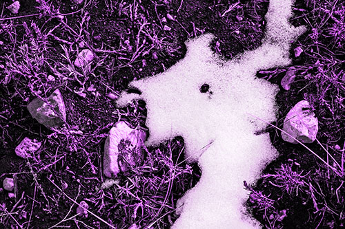 Peering Humanoid Snow Face Creature Among Rocks (Purple Tone Photo)