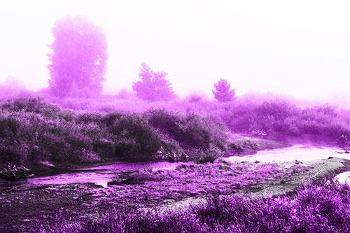River Flowing Along Foggy Vegetation (Purple Tone Photo)