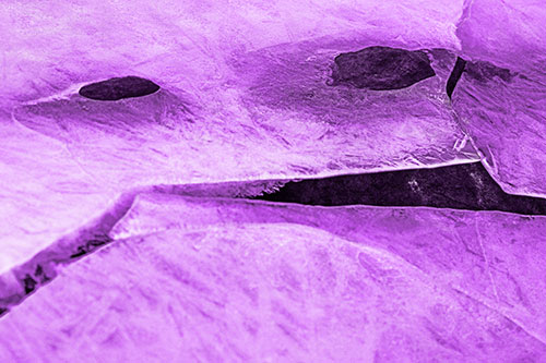 Rock Face Emerges Among Cracked Frozen Ice (Purple Tone)