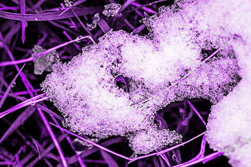 Sad Melting Grass Tangled Snow Face (Purple Tone)