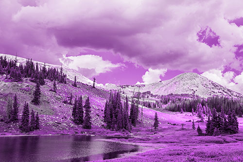 Scattered Trees Along Mountainside (Purple Tone)