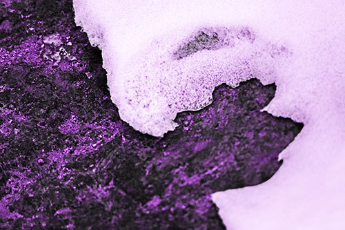 Screaming Snow Face Slowly Melting Atop Rock Surface (Purple Tone Photo)