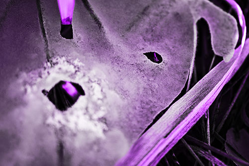 Shocked Peeling Grass Eyed Ice Face (Purple Tone)