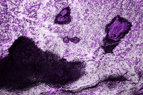 Shocked Puddle Face Drying Among Rock Surface (Purple Tone Photo)