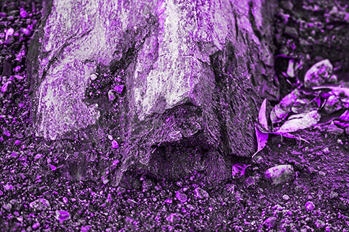Slime Covered Rock Face Resting Along Shoreline (Purple Tone Photo)