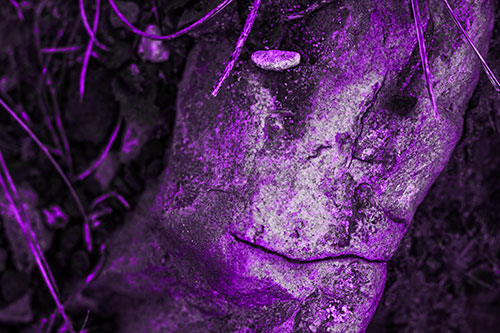 Smirking Battered Rock Face (Purple Tone Photo)