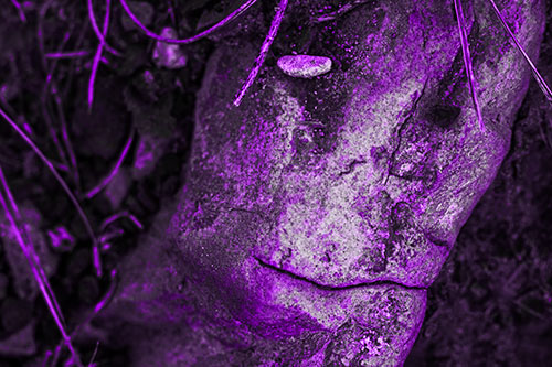 Smirking Battered Rock Face (Purple Tone)