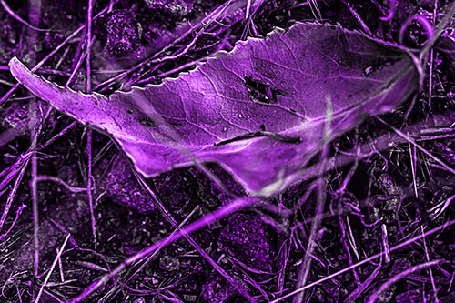 Smirking Fish Shaped Leaf Face Among Sticks (Purple Tone Photo)
