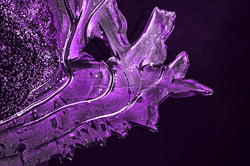 Smooth Ice Face Creature Hanging Above River Shoreline (Purple Tone)