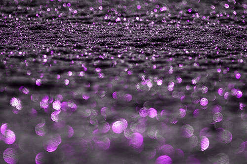 Snow Sparkling Among Sunrise Light (Purple Tone Photo)