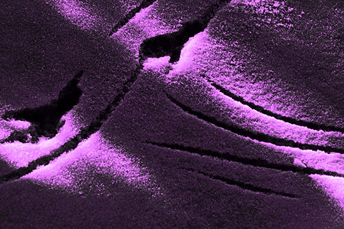 Snowy Bird Footprint Claw Marks (Purple Tone Photo)