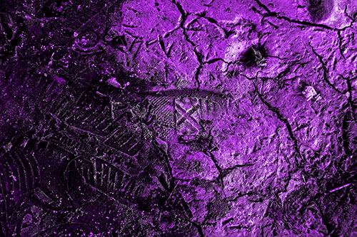 Soggy Cracked Mud Face Smirking (Purple Tone Photo)