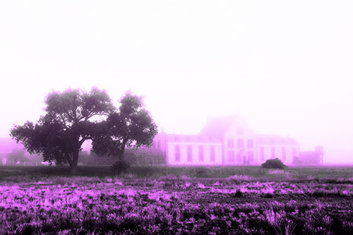 State Penitentiary Glowing Among Fog (Purple Tone Photo)