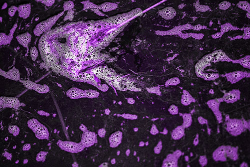 Stick Impales River Bubble Face Through Eye (Purple Tone Photo)