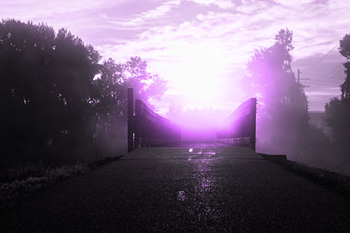Sun Rises Beyond Foggy Wooden Walkway Bridge (Purple Tone Photo)