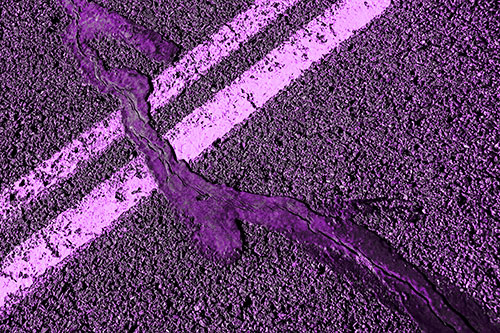 Tar Creeping Over Sidewalk Pavement Lane Marks (Purple Tone Photo)