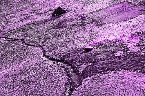 Three Ice Melting Puddles (Purple Tone Photo)