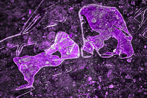 Translucent Frozen Big Eyed Alien Ice Bubble Figure Atop River (Purple Tone Photo)