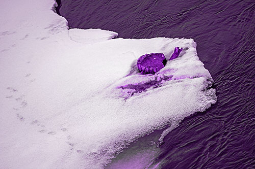 Tree Stump Eyed Snow Face Creature Along River Shoreline (Purple Tone)