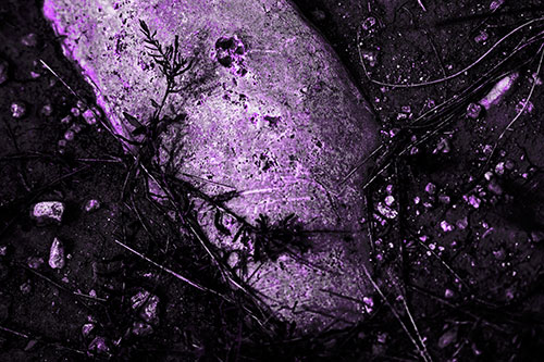 Tribal Mask Plant Faced Rock (Purple Tone Photo)