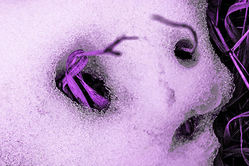 Twisting Grass Eyed Snow Face (Purple Tone)