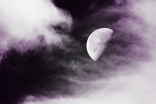 Upside Down Creature Cloud Moon Gazing (Purple Tone Photo)