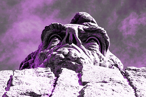 Vertical Upwards View Of Presidents Statue Head (Purple Tone Photo)