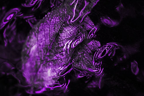 Water Ripple Faced Leaf In Submerged Trance (Purple Tone)