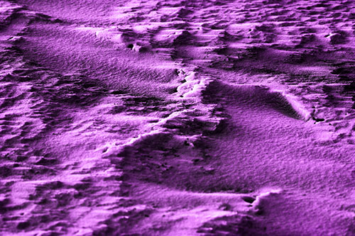 Wind Blowing Across Jagged Frozen Snow Drift (Purple Tone Photo)