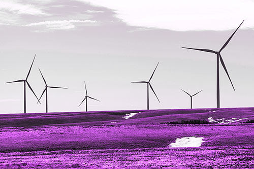 Wind Turbines Scattered Around Melting Snow Patches (Purple Tone Photo)