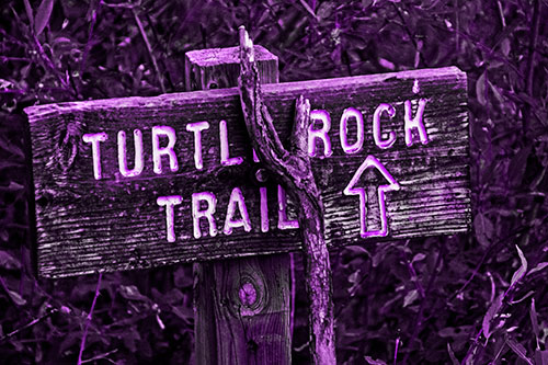 Wooden Turtle Rock Trail Sign (Purple Tone Photo)