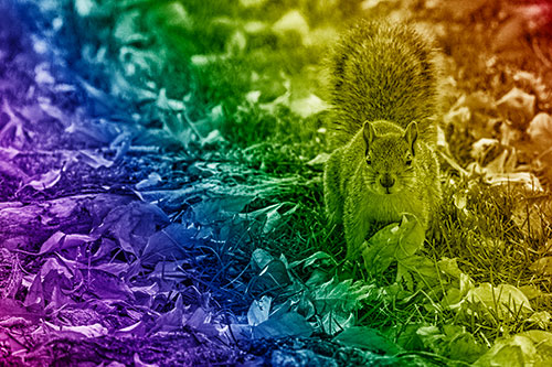Alert Squirrel Freezes Among Fall Leaves (Rainbow Shade)