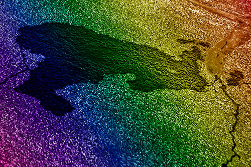 Bunny Rabbit Pavement Puddle Figure Formation (Rainbow Shade)