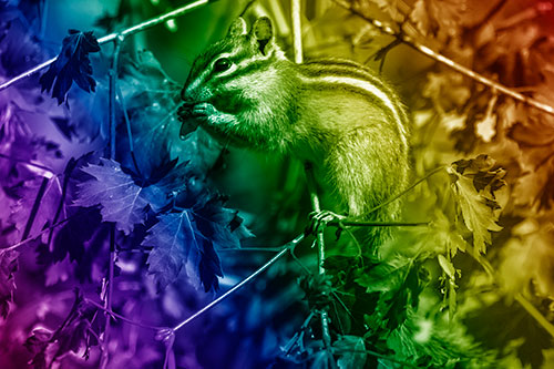 Chipmunk Feasting On Tree Branches (Rainbow Shade)