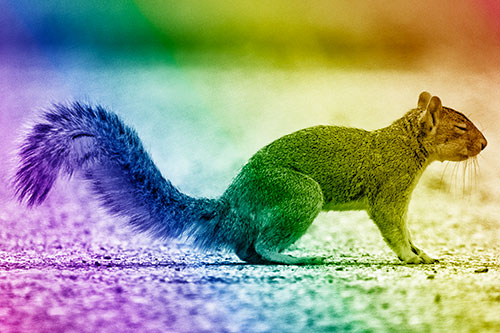 Closed Eyed Squirrel Meditating (Rainbow Shade Photo)