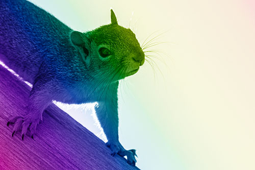 Confused Head Tilting Squirrel Standing Along Wooden Pole (Rainbow Shade)