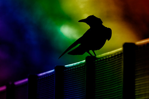 Crow Silhouette Atop Guardrail (Rainbow Shade Photo)