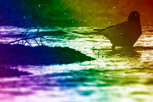Crow Splashing River Water (Rainbow Shade Photo)