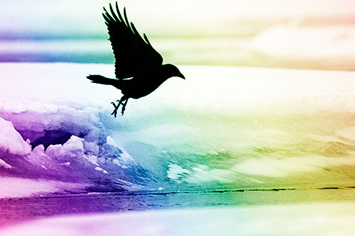 Crow Taking Flight Off Icy Shoreline (Rainbow Shade Photo)