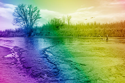 Dead Trees Surround Ice Melting River (Rainbow Shade)