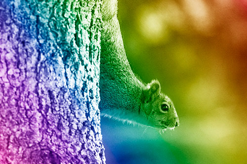 Downward Squirrel Yoga Tree Trunk (Rainbow Shade Photo)