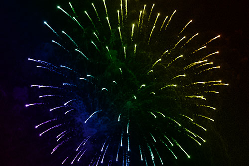 Firework Star Trails Vaporize Among Night Sky (Rainbow Shade Photo)