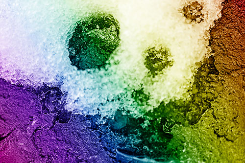 Ice Skull Snow Face Melting Atop Rock (Rainbow Shade)