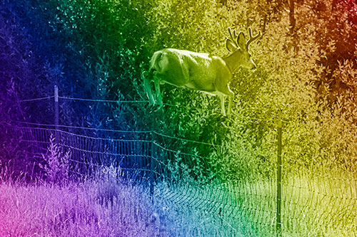 Midair Soaring Mule Deer Flying Over Fence (Rainbow Shade)