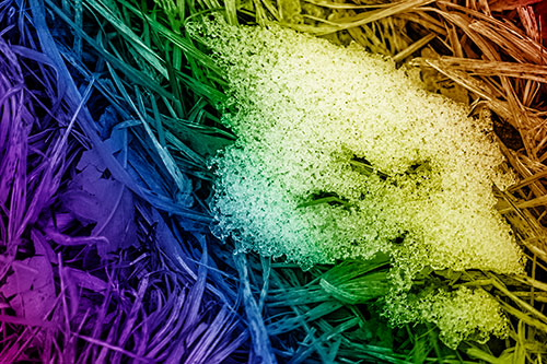 Miserable Slanted Grass Eyed Snow Face (Rainbow Shade)
